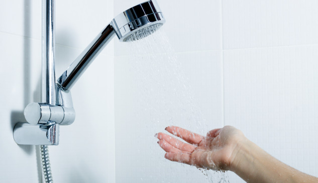 Comment choisir un bras de douche?