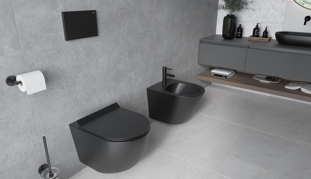 Toilettes grises modernes avec des accessoires noirs