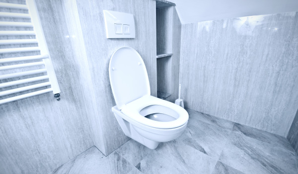 Quel cadre encastré pour WC choisir ?