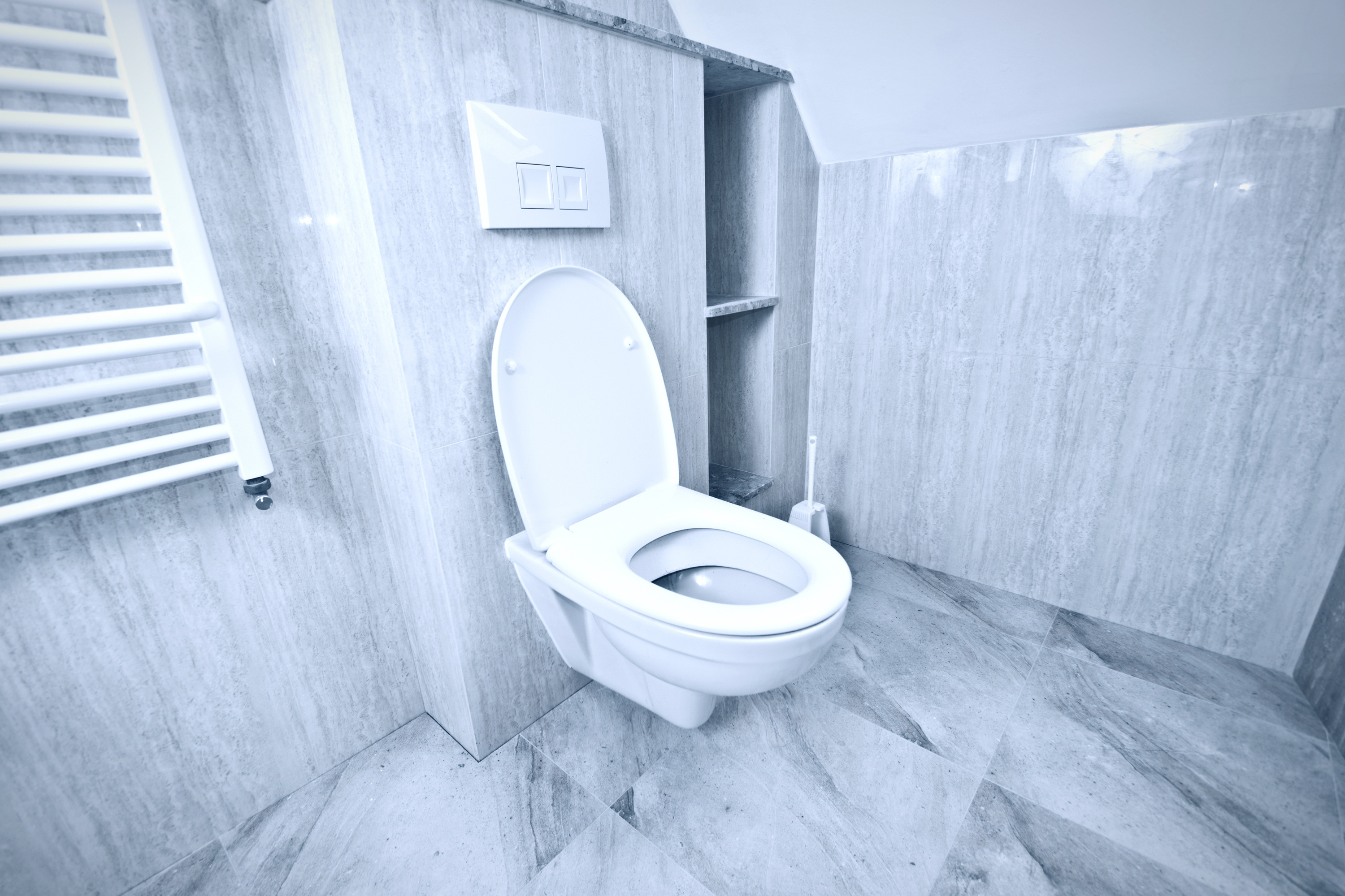 Quel cadre encastré pour WC choisir ?