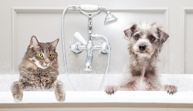 Choisir un mitigeur bain-douche - par où commencer ?