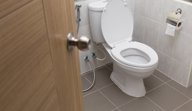 Comment faire le bon choix - toilettes compactes?