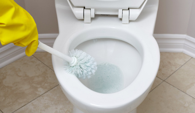 À quoi faut-il faire attention avant de choisir une brosse WC ?
