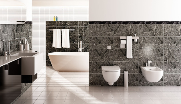 Quelle baignoire choisir ?