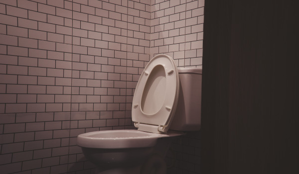 Comment acheter une bonne lunette de toilette ?