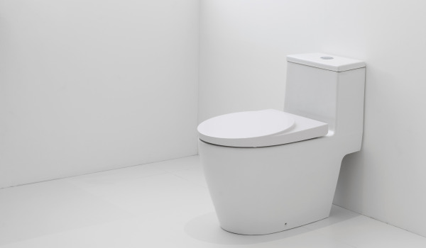 Comment assortir une cuvette WC à la décoration ?