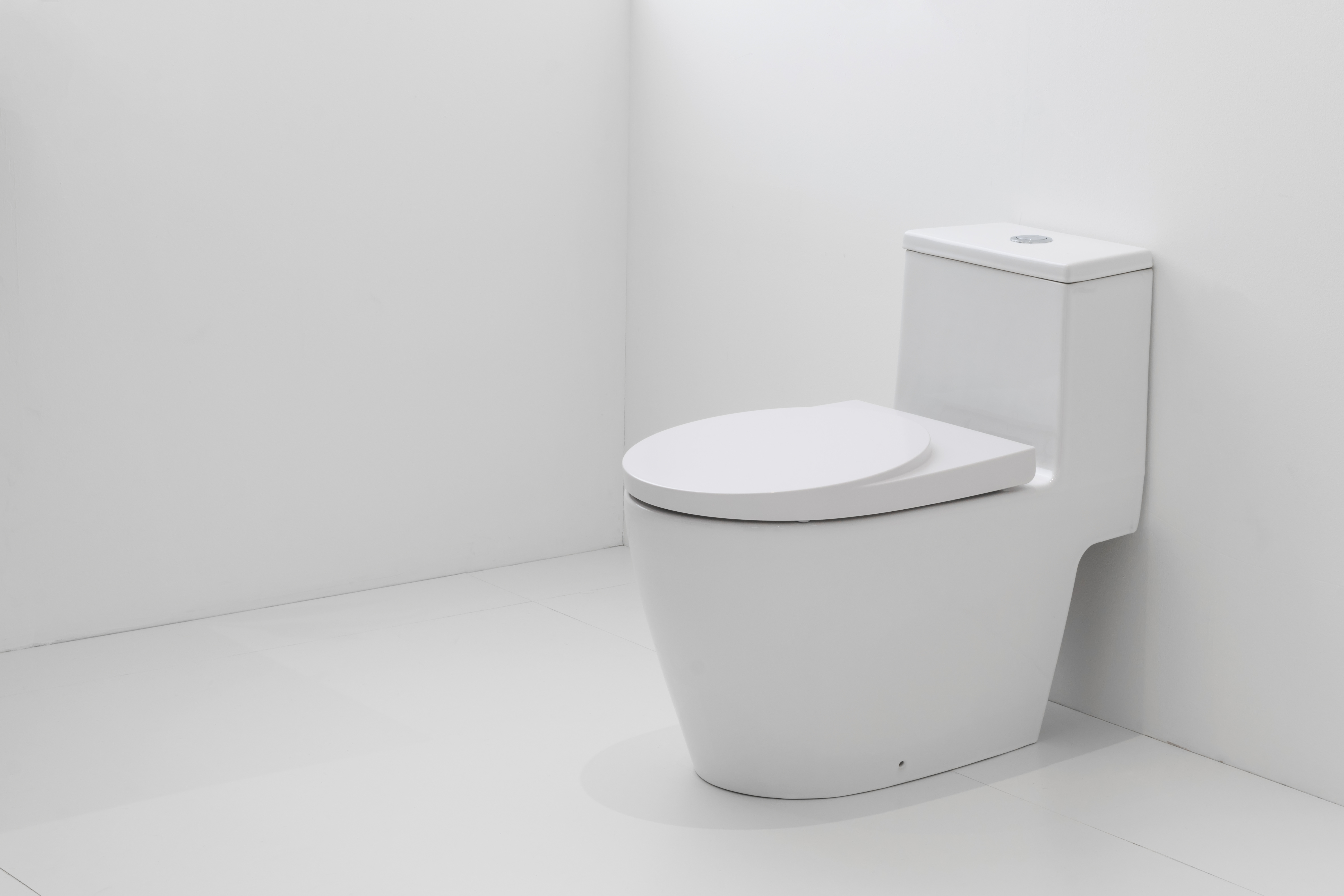 Comment assortir une cuvette WC à la décoration ?