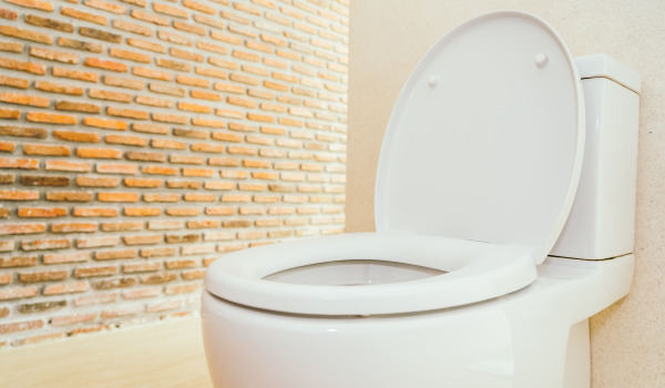 Qu'est-ce qu'un cadre encastré pour WC ?