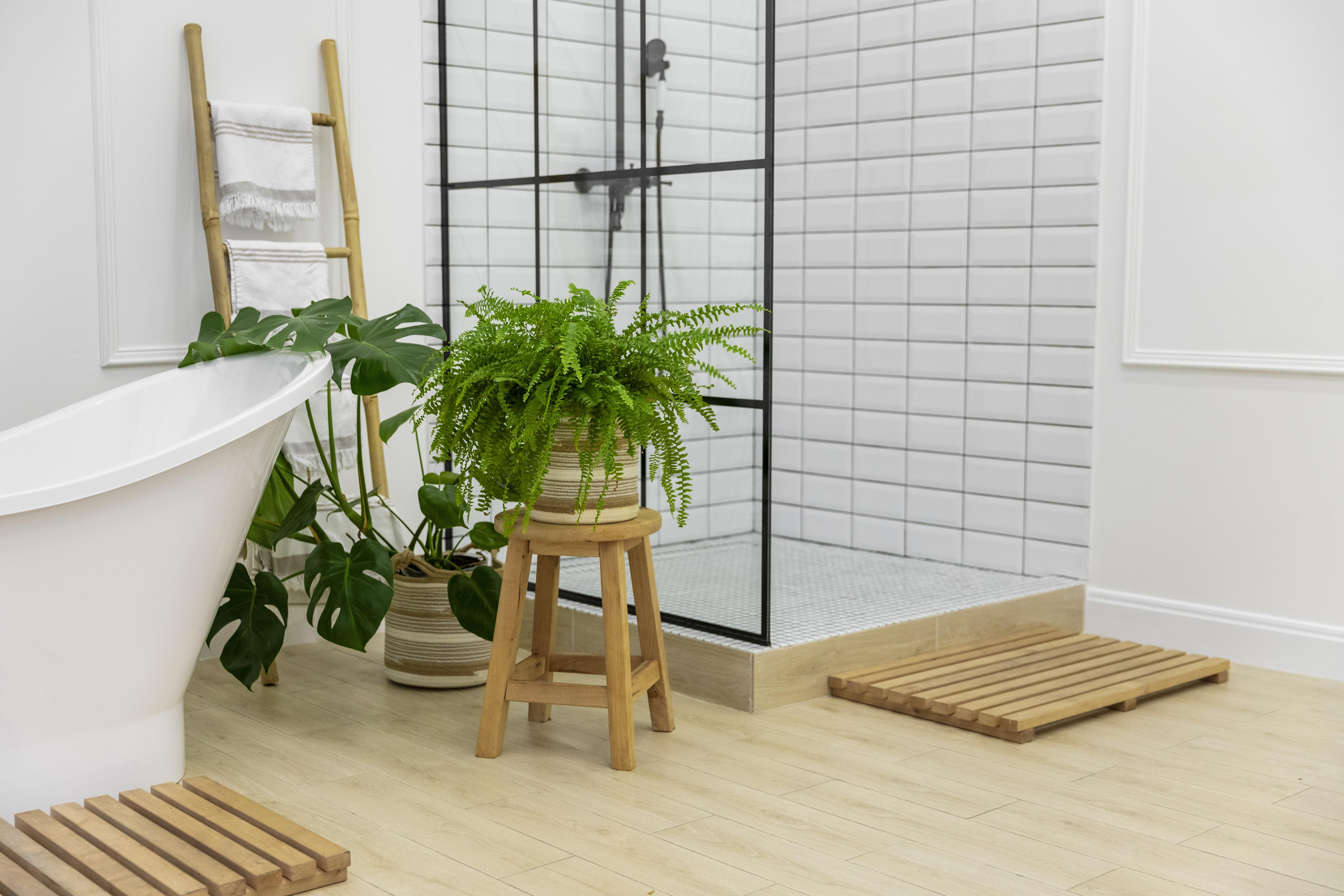 5 meilleurs fleurs à cultiver dans la salle de bain